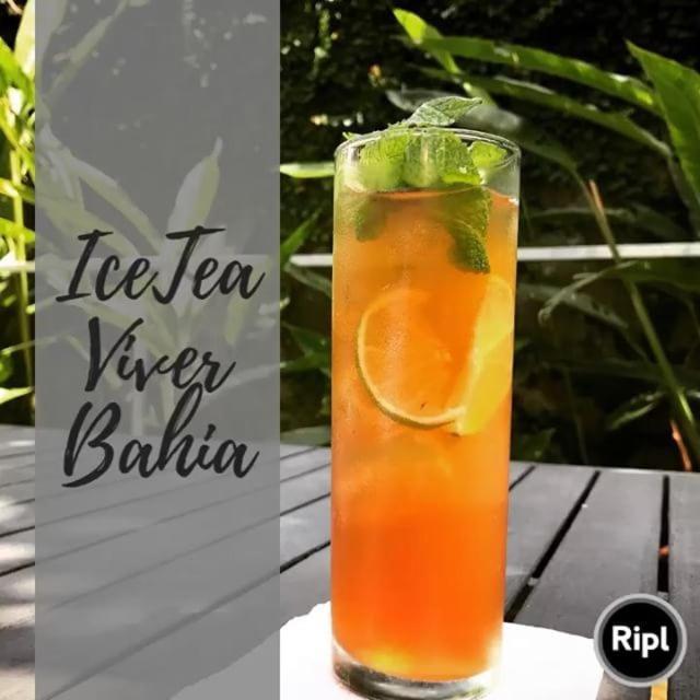 Viver Bahia Hotel